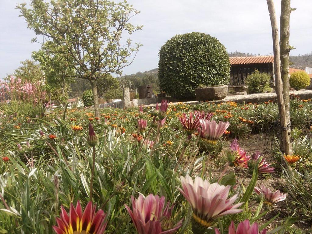 Villa Casa Do Souto Aldreu Esterno foto